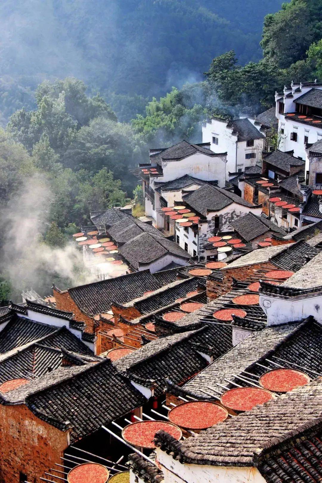 江西，红色摇篮，绿色家园的璀璨画卷