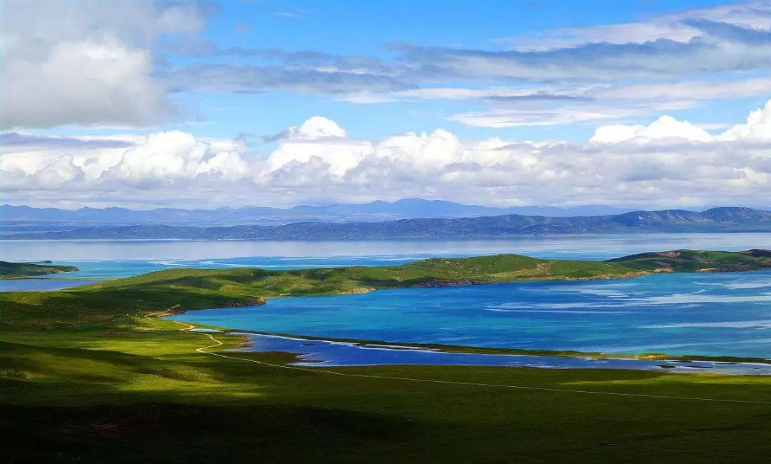 青海暖阳下的友谊之光